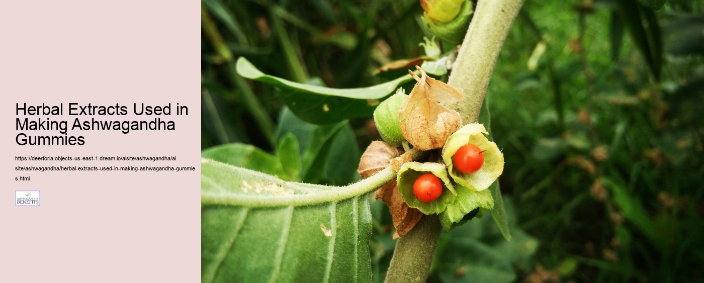 Herbal Extracts Used in Making Ashwagandha Gummies