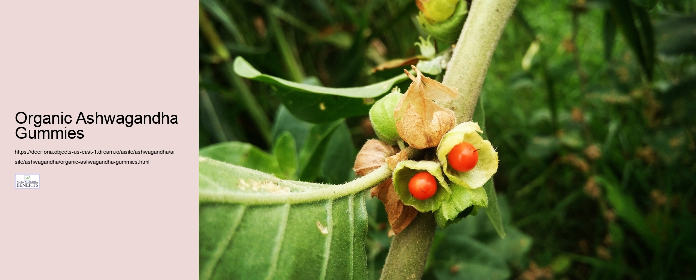 Organic Ashwagandha Gummies