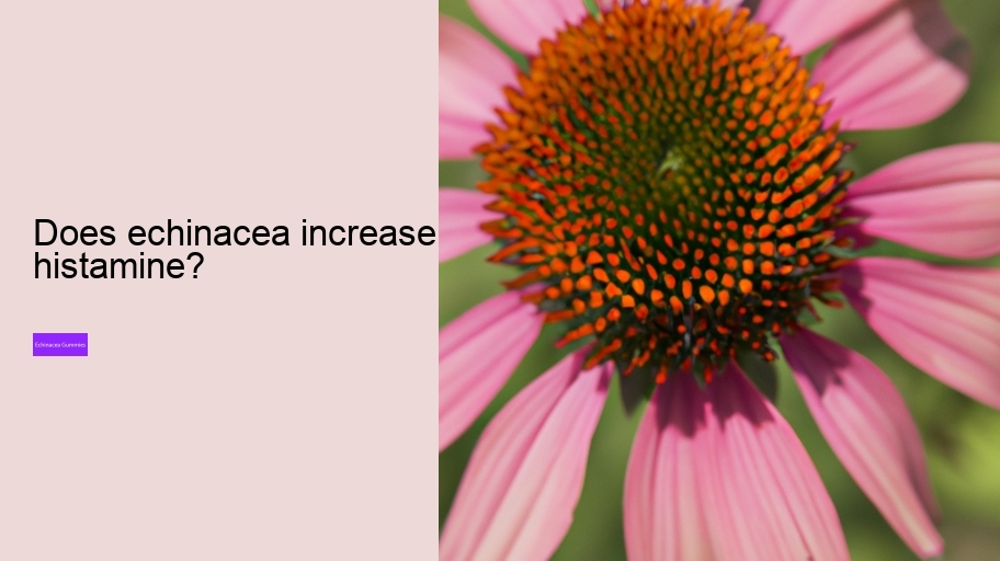 Does echinacea increase histamine?
