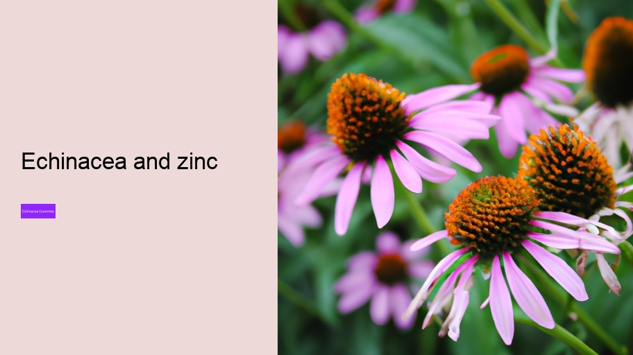 echinacea and zinc