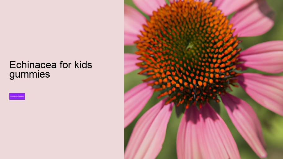 echinacea for kids gummies