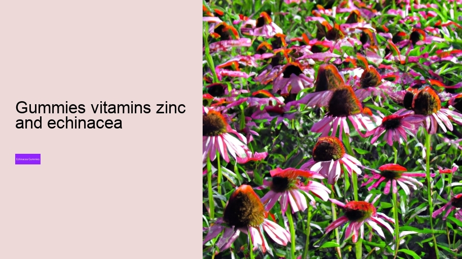 gummies vitamins zinc and echinacea