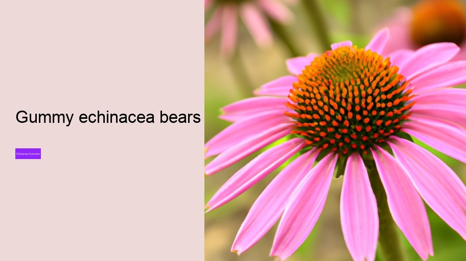 gummy echinacea bears