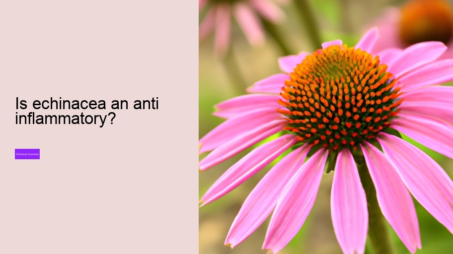 Is echinacea an anti inflammatory?