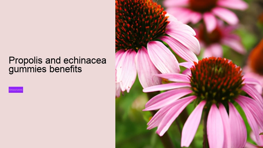 propolis and echinacea gummies benefits