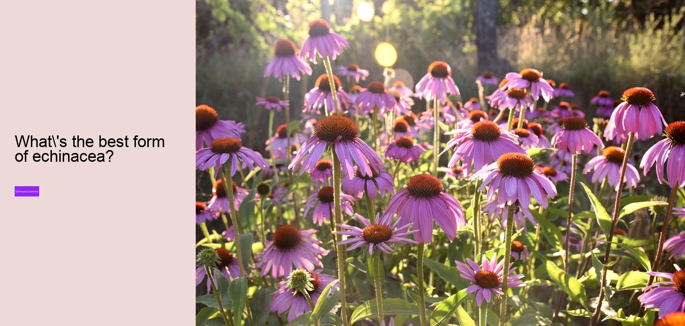 Can echinacea interfere with sleep?