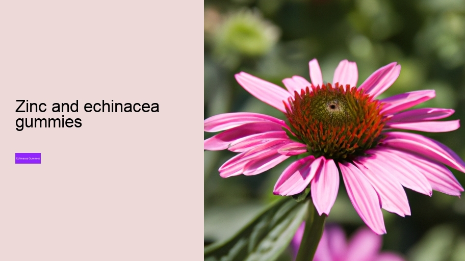 zinc and echinacea gummies