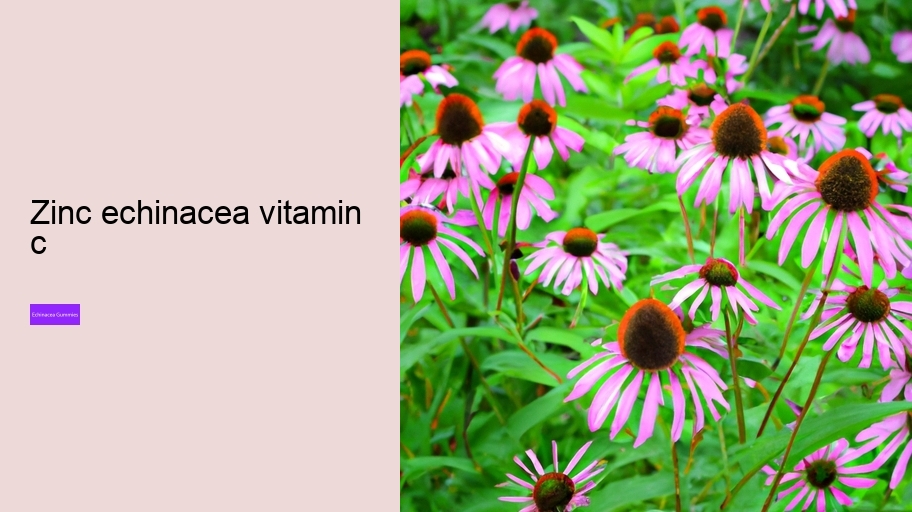zinc echinacea vitamin c
