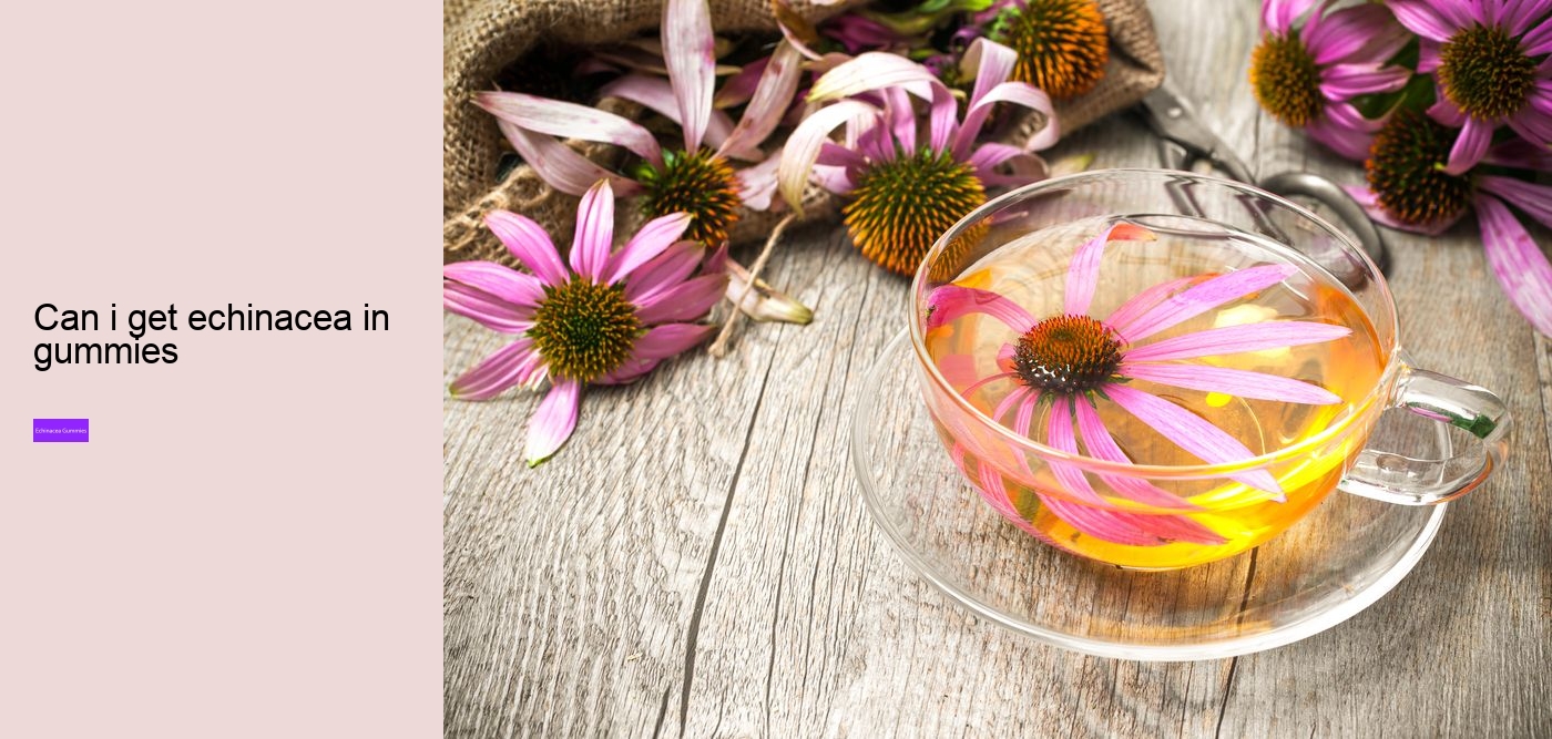 Does echinacea work immediately?