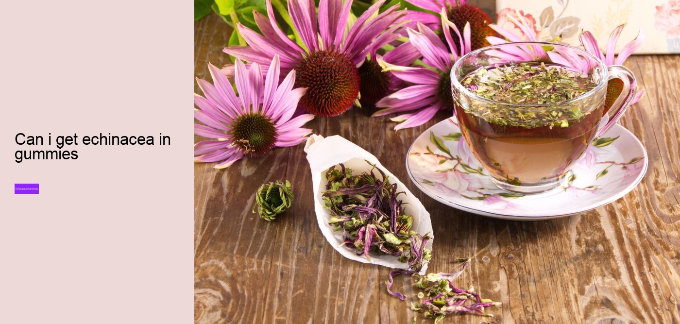 Is echinacea a natural antibiotic?