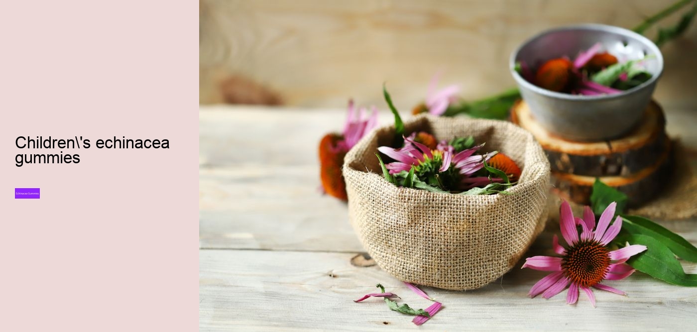 What are the benefits and side effects of echinacea?