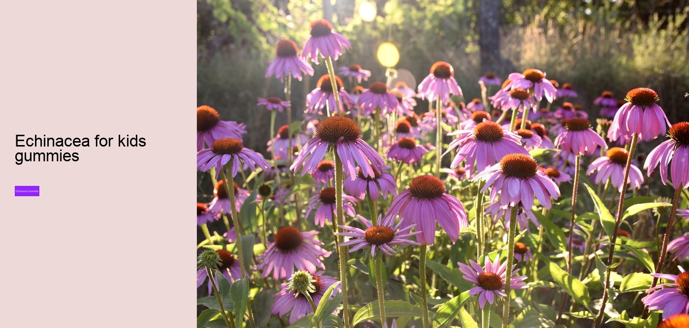 Does echinacea affect sleep?