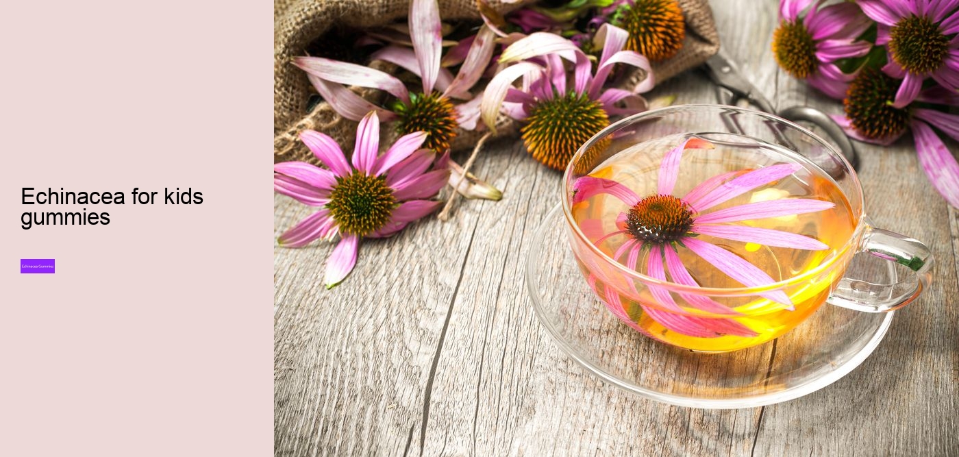 What are the pros and cons of echinacea?