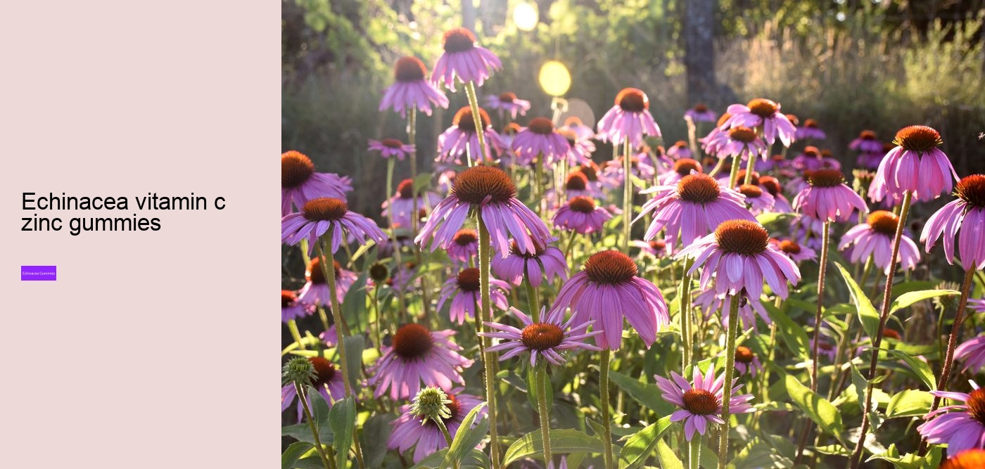 Does echinacea have caffeine?