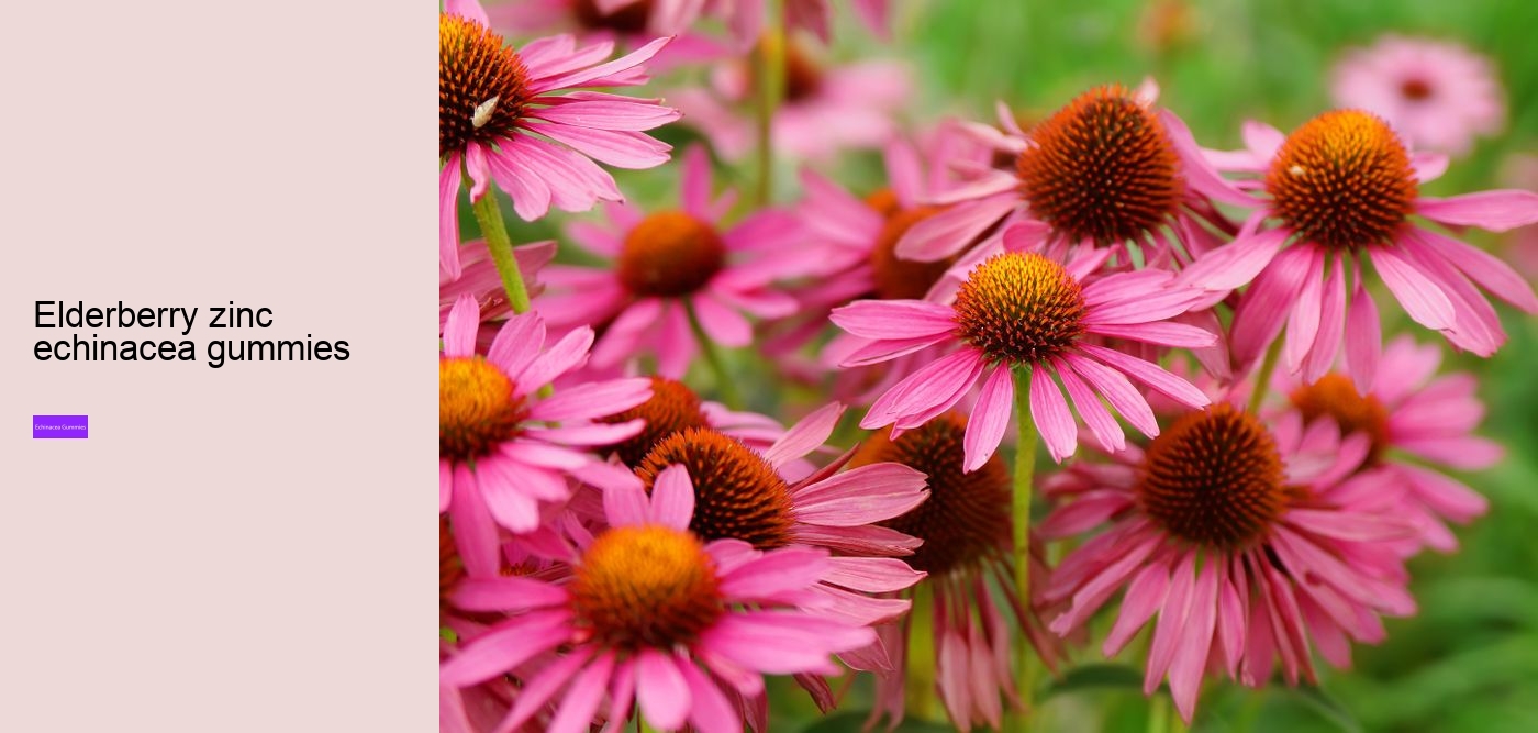 Who Cannot take echinacea?