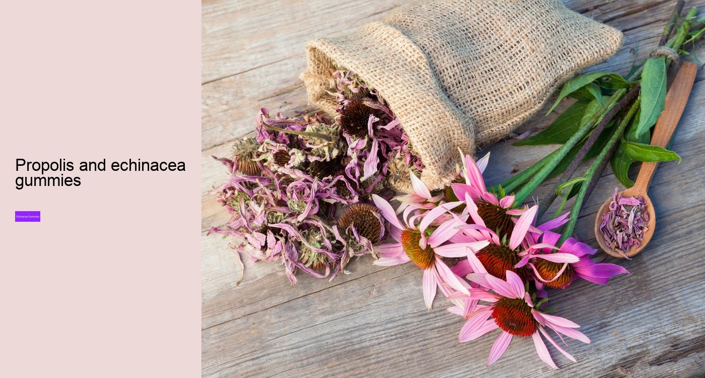 Is it OK to take echinacea every day?