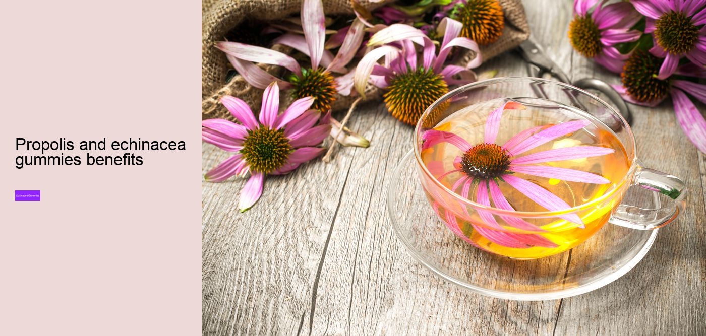 Which brand of echinacea is best?