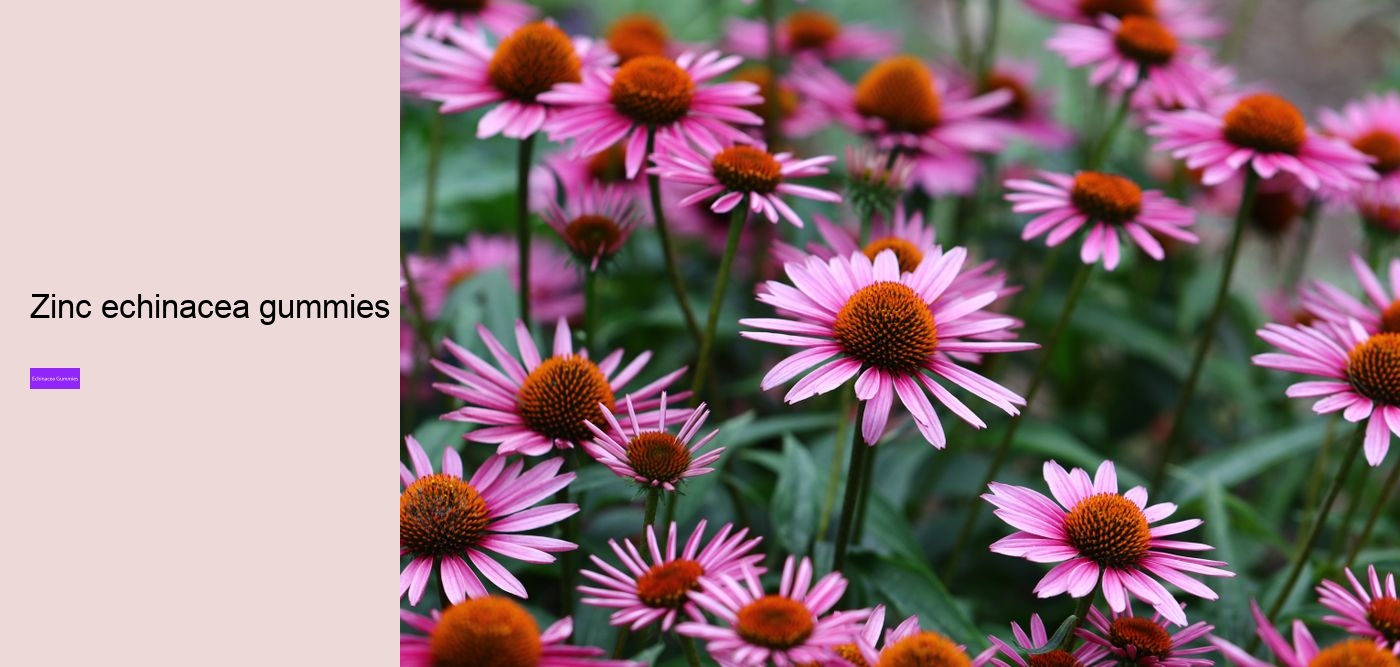 elderberry gummies with zinc echinacea vitamin c and