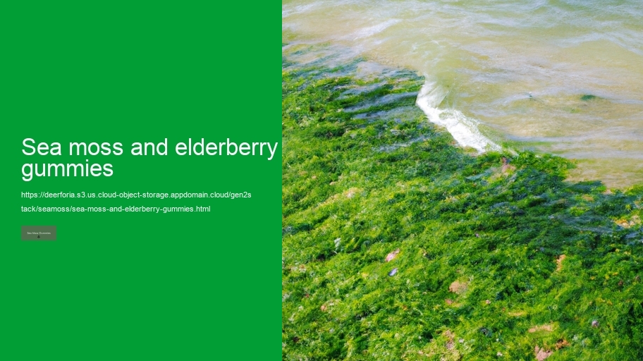 sea moss and elderberry gummies