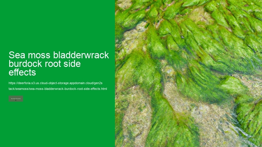sea moss bladderwrack burdock root side effects