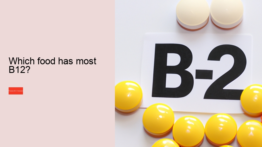 Which food has most B12?